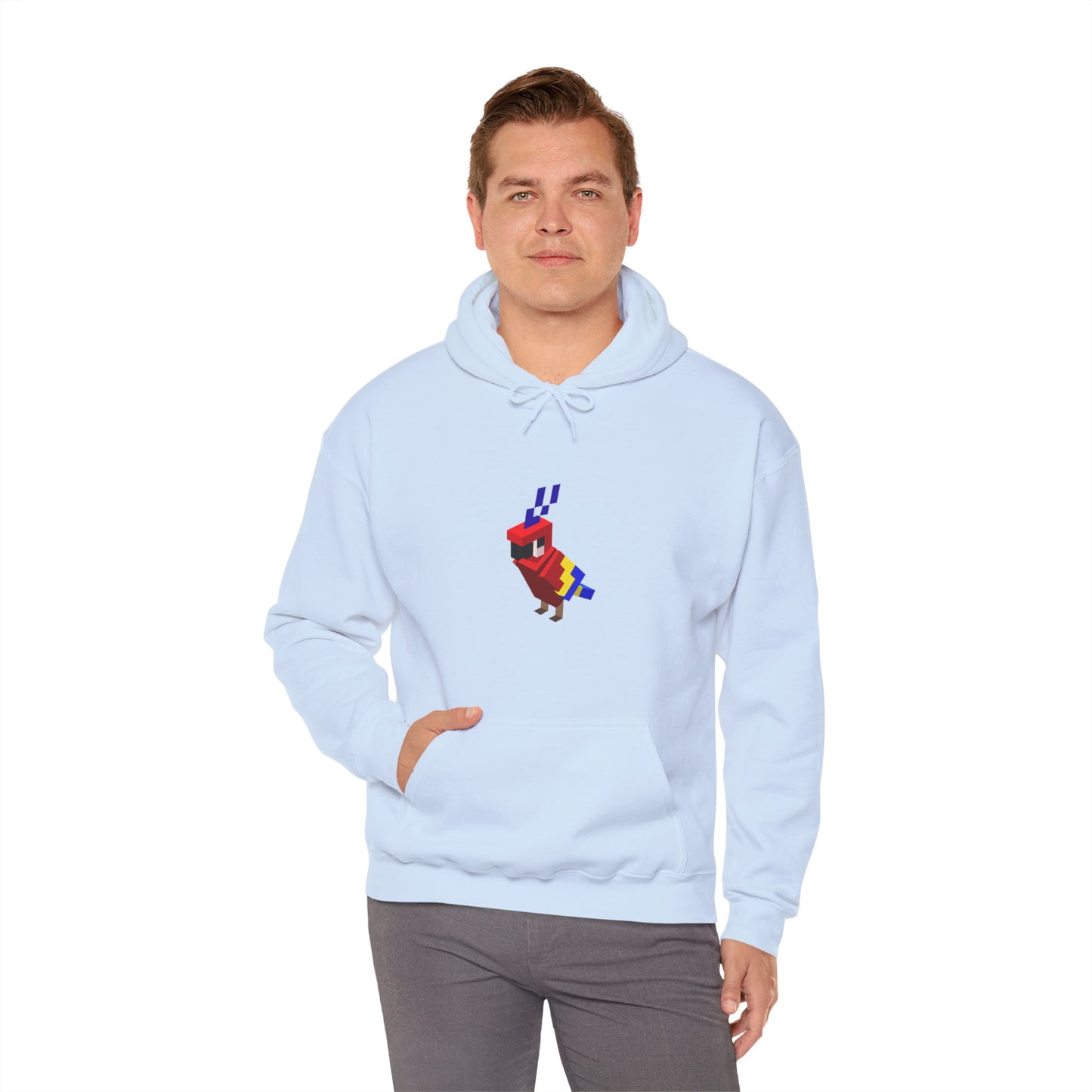 Arcade Parrot Hooded Sweatshirt
