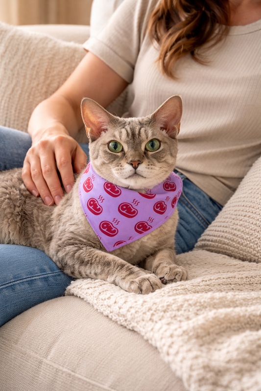 Cat wearing a pink bandana with red patterns sitting on a person's lap.