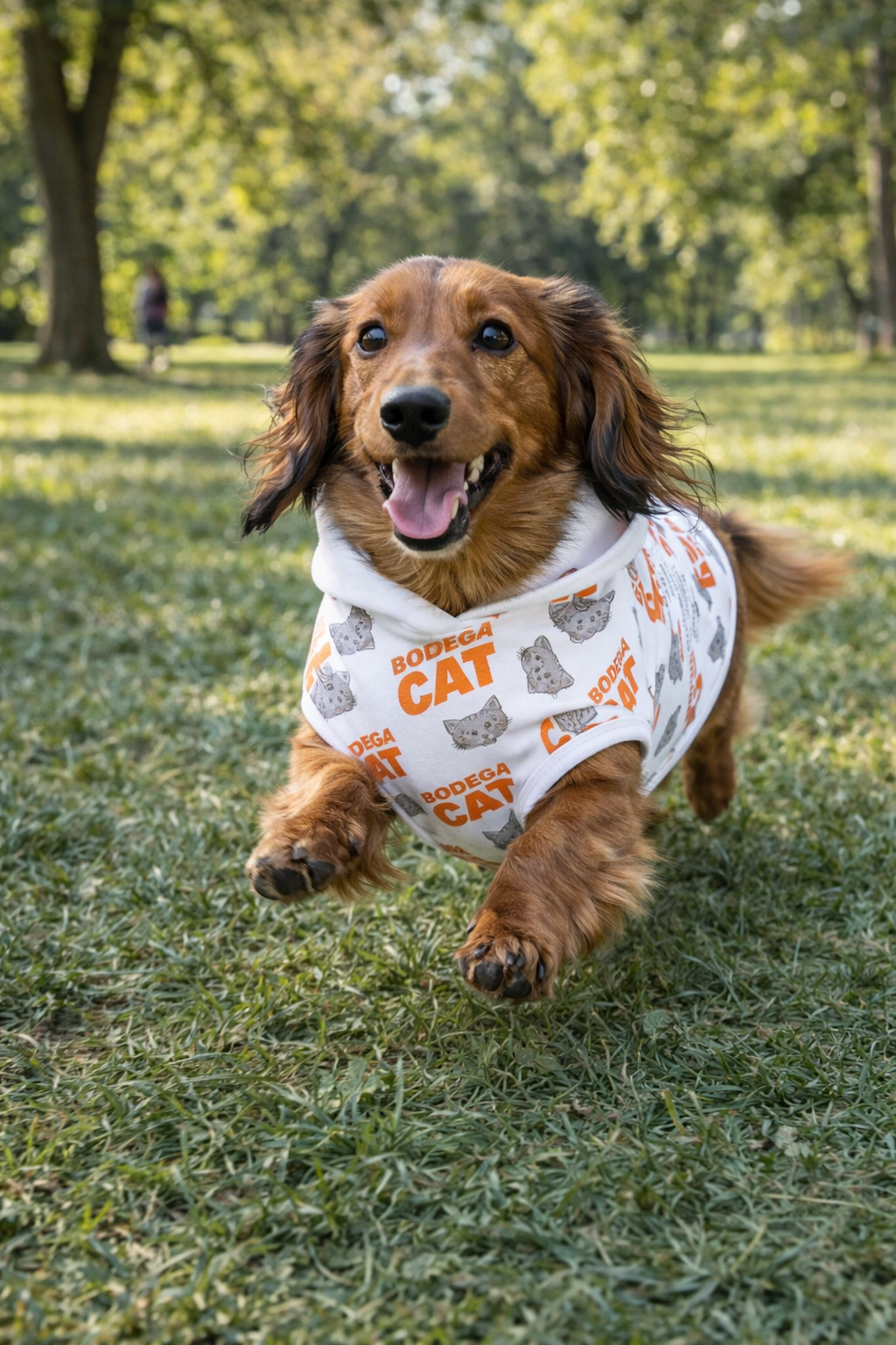 Dog running on grass wearing the Bodega Cat bandana