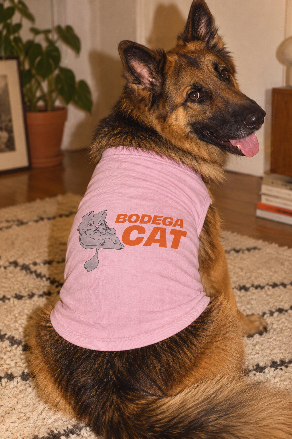 Bodega Cat Dog Shirt – Graphic Pet Tank Top for Dogs & Cats