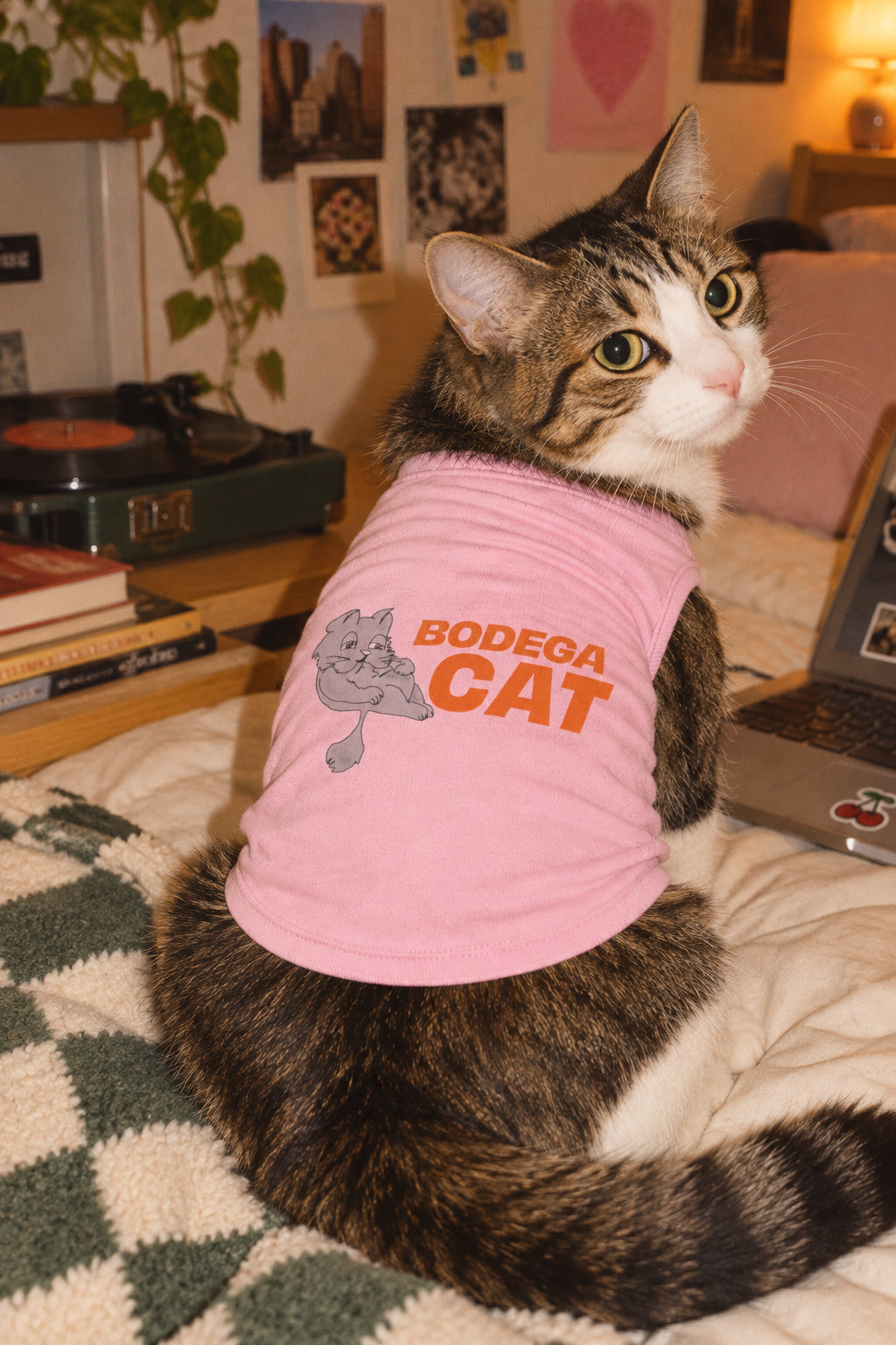Bodega Cat Dog Shirt – Graphic Pet Tank Top for Dogs & Cats