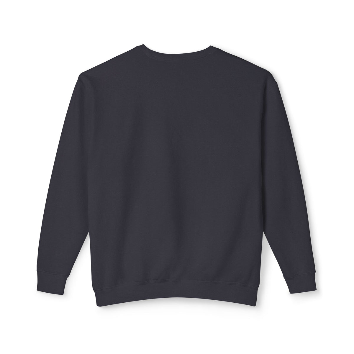 Back view of the black Elastika Girl unisex crewneck sweatshirt showing its plain design and ribbed hem.