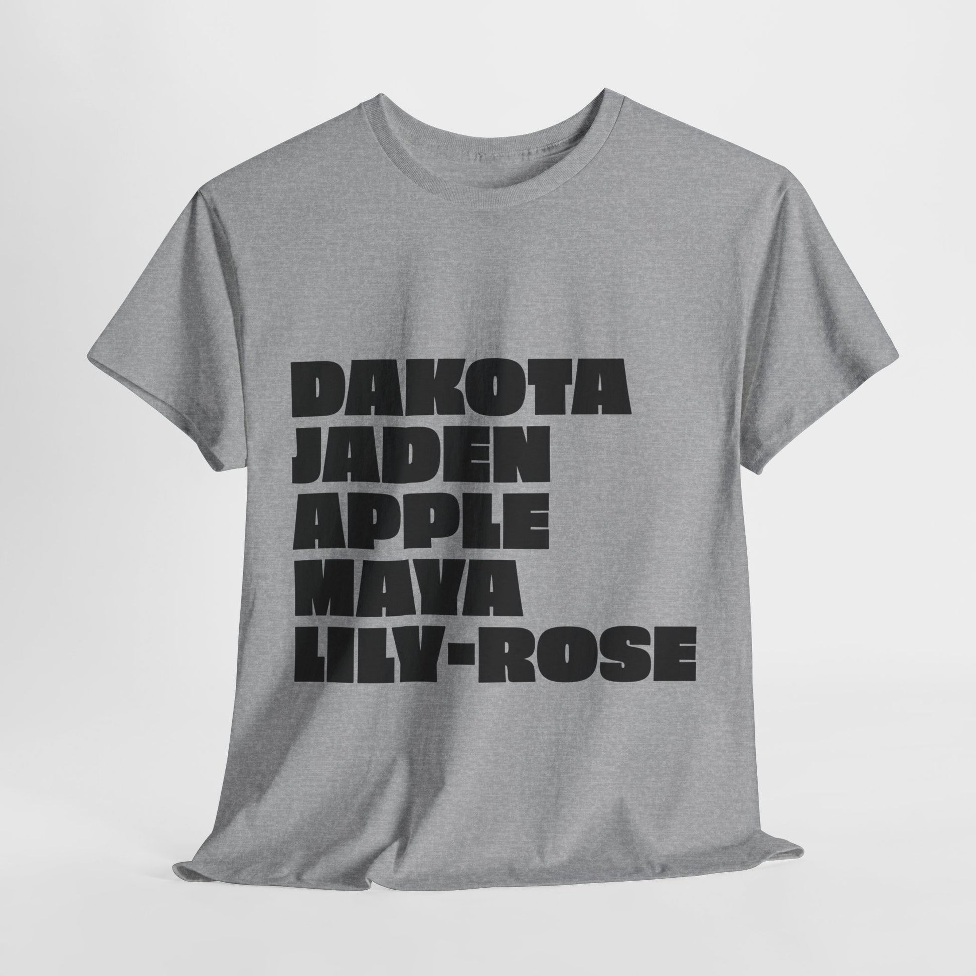 Gray Nepo Babies List unisex t-shirt with bold black text, minimalist graphic front view