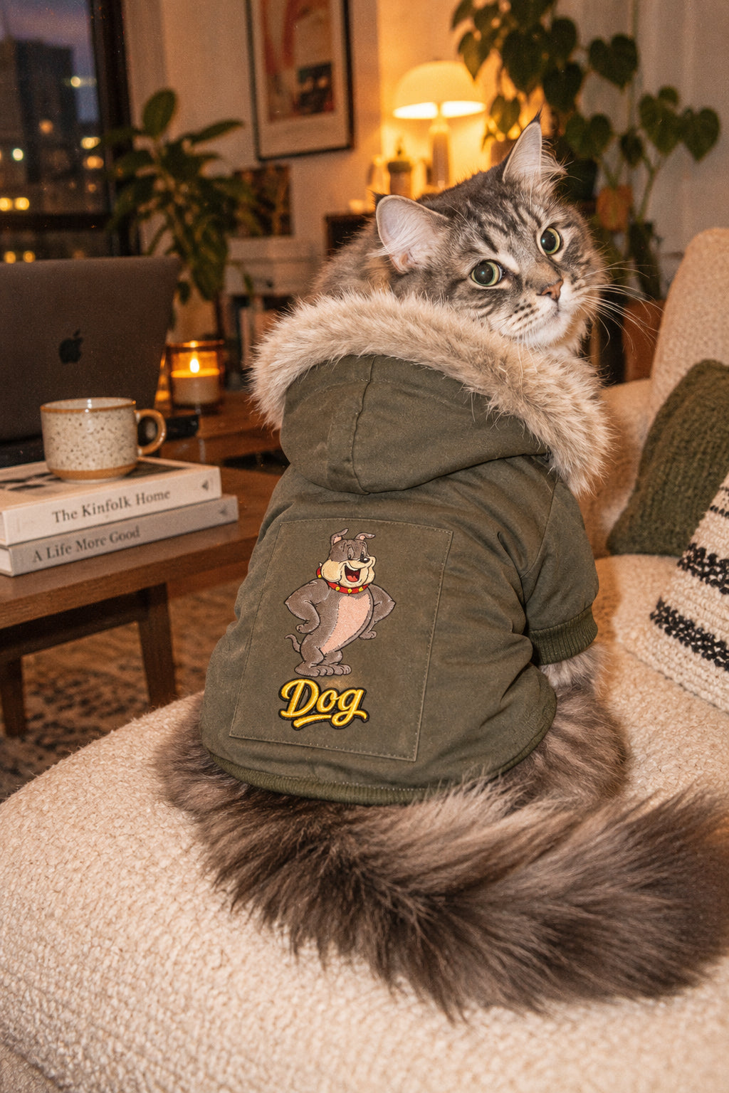 Long-haired cat wearing olive green padded pet parka with faux-fur hood