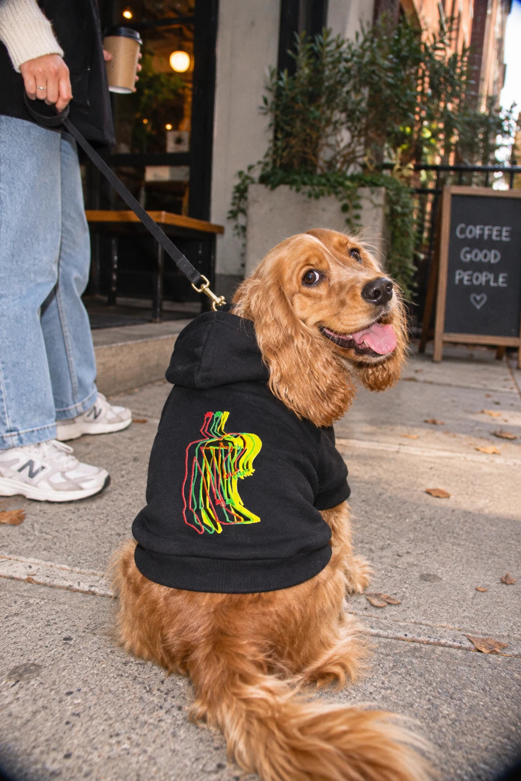 Cocker Spaniel wearing black Patsy graphic pet hoodie outdoors in urban lifestyle scene