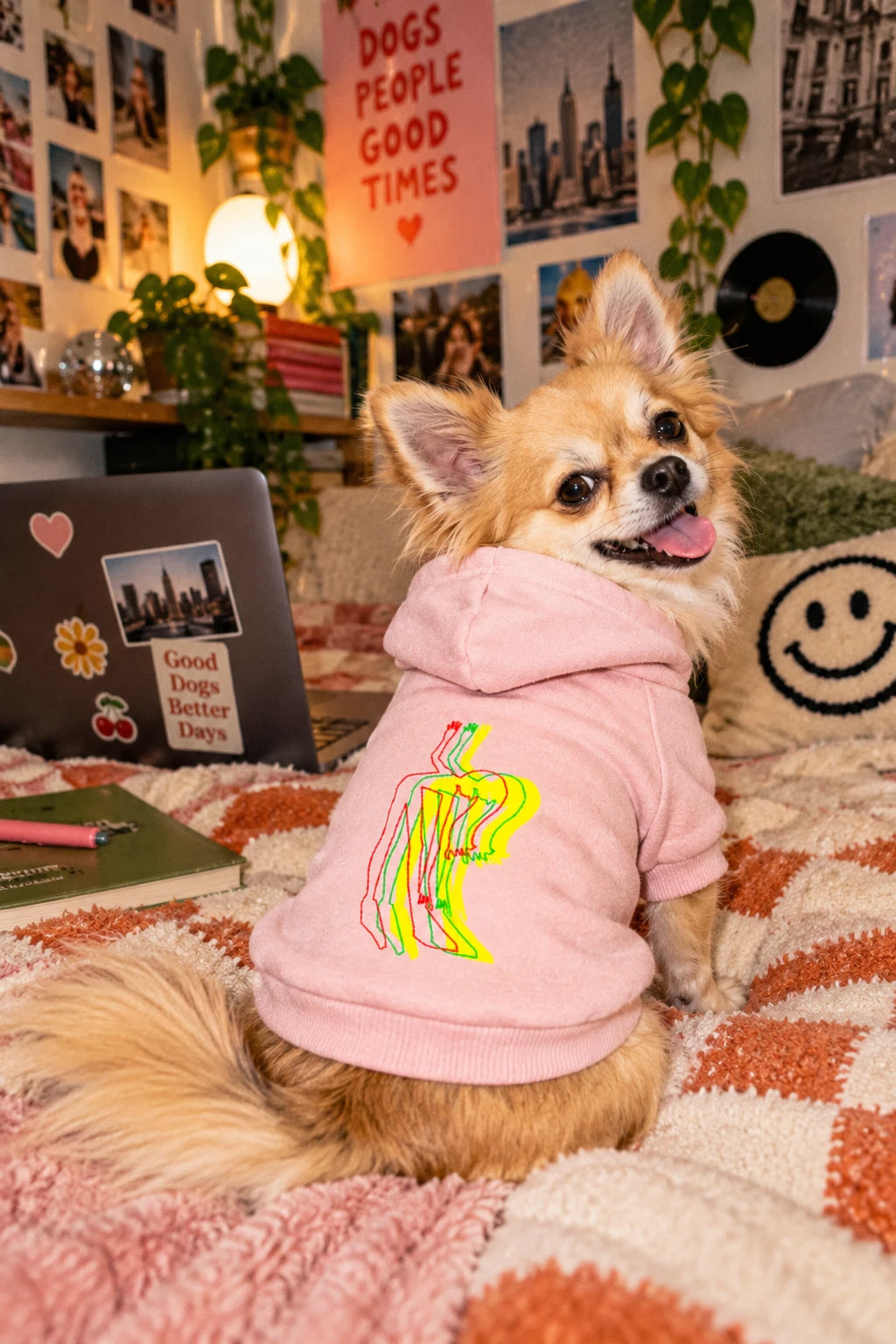 Small dog wearing pink Patsy graphic pet hoodie with colorful artwork on back