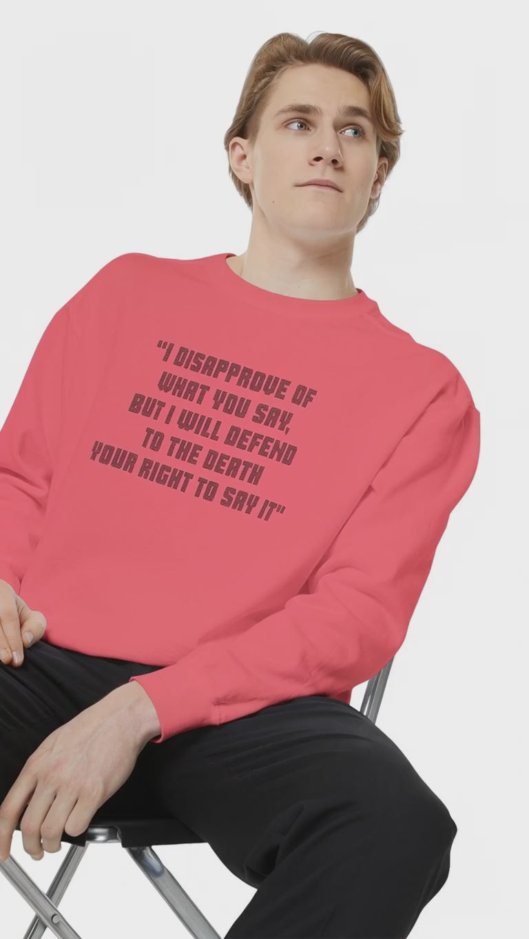 Model wearing a coral Freedom of Speech sweatshirt seated on a stool against a studio backdrop.