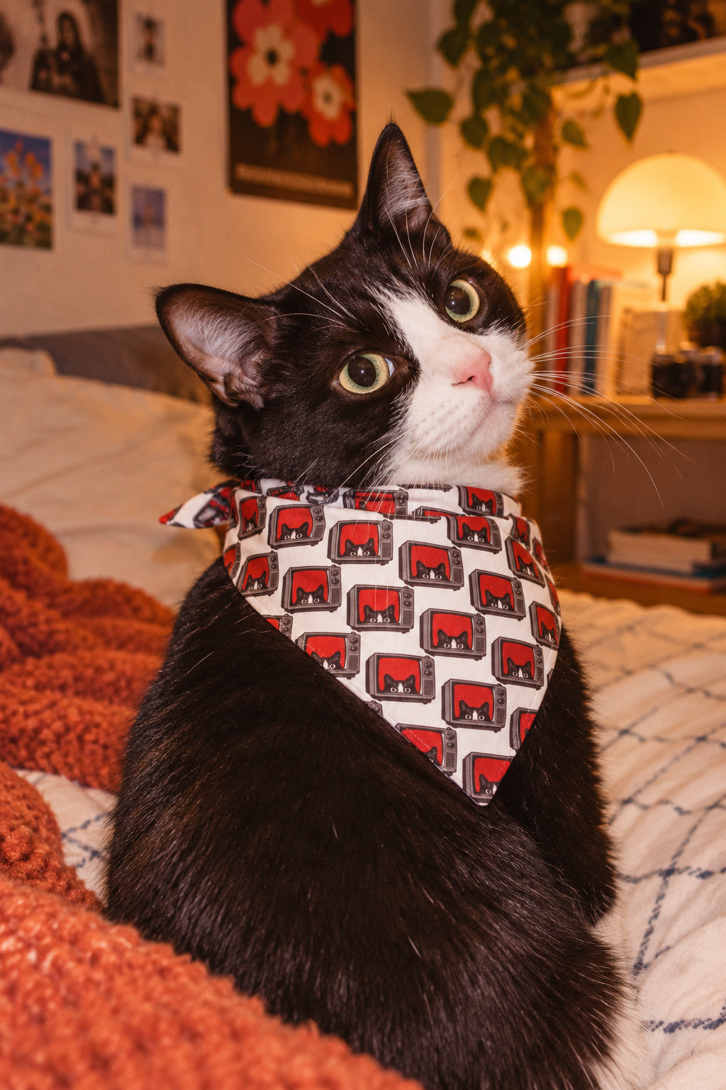 Cat wearing retro TV cat pet bandana in cozy dorm room lifestyle mockup