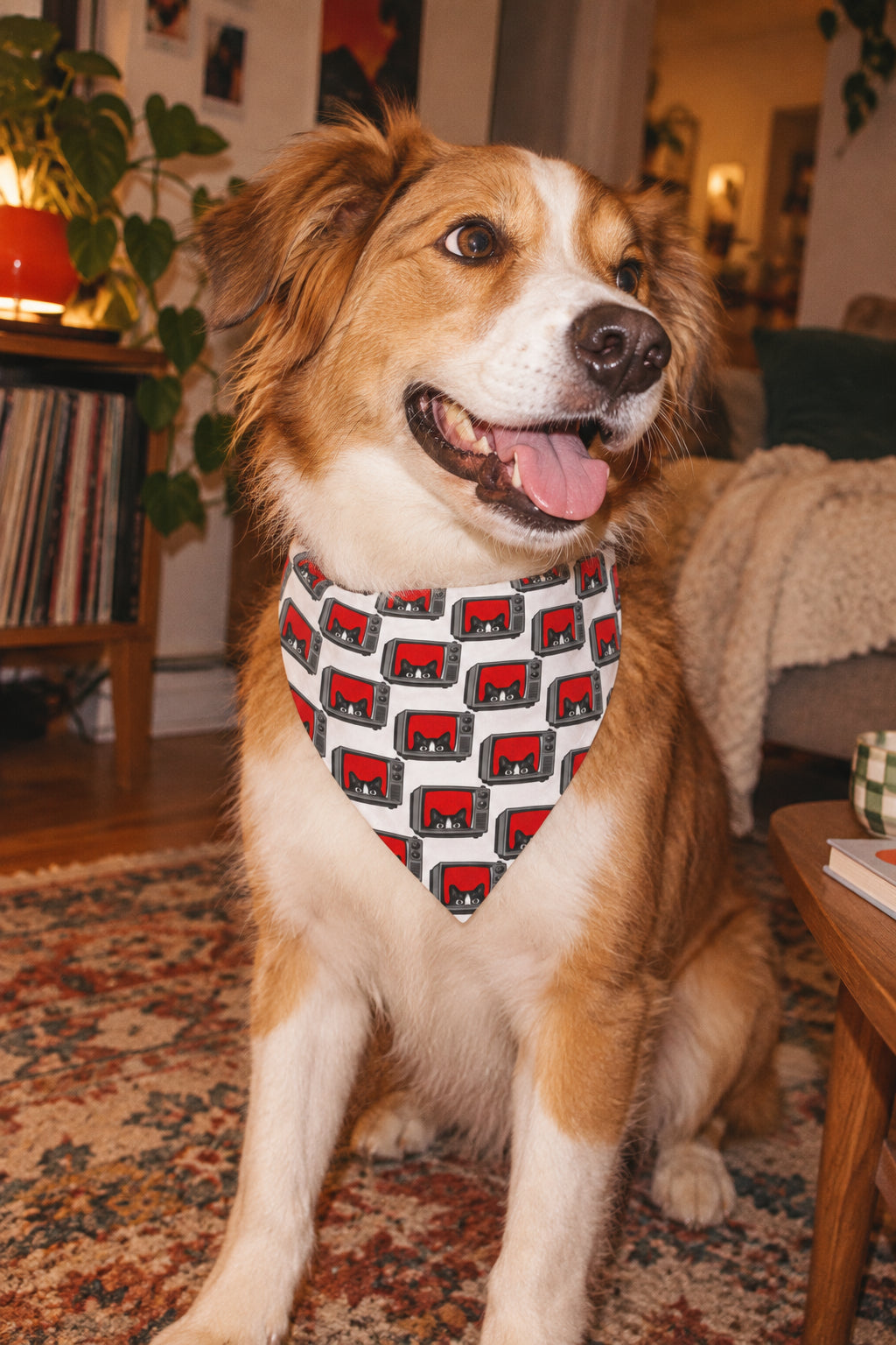 Dog wearing retro TV cat pet bandana in cozy lifestyle mockup