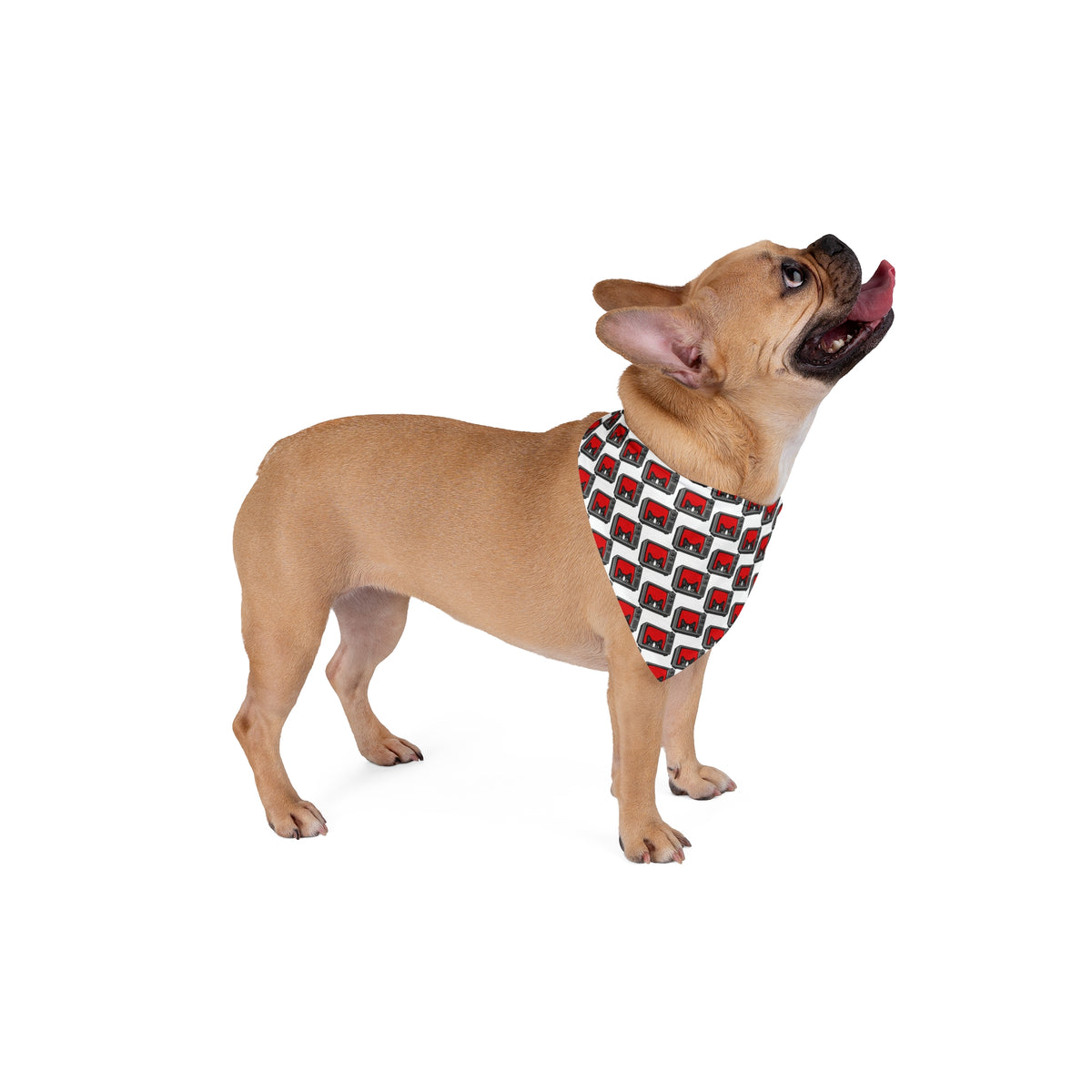 Dog wearing retro TV cat pet bandana standing in side view mockup