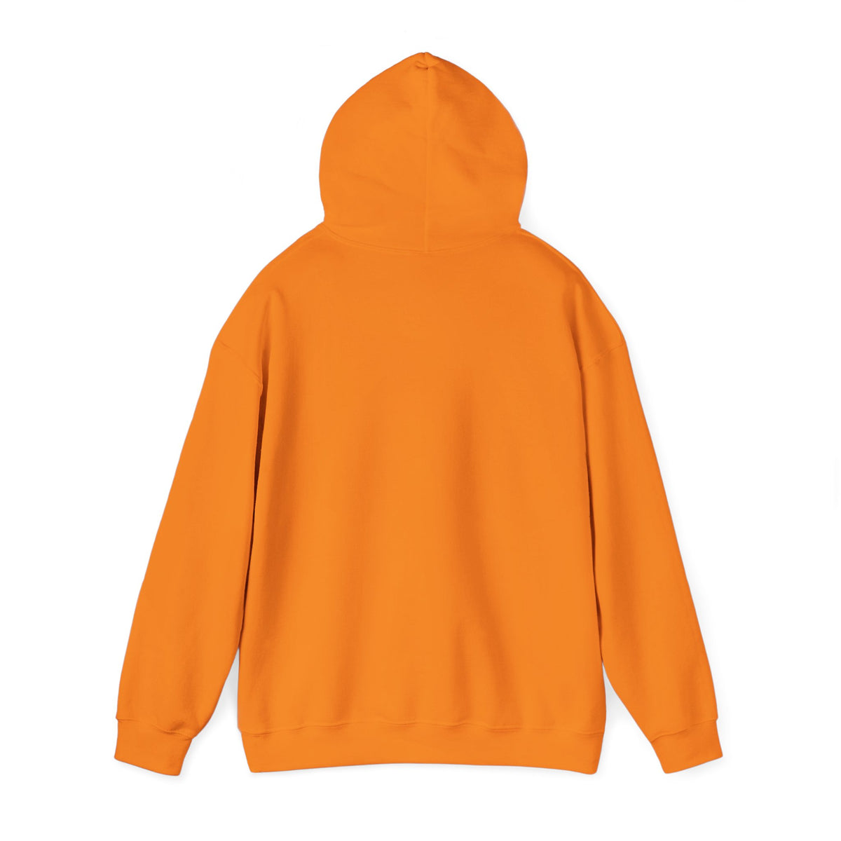 Orange Rudy’s Truth unisex hoodie back view