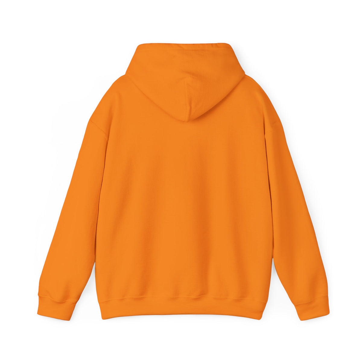 Orange Rudy’s Truth political graphic hoodie shown from the back